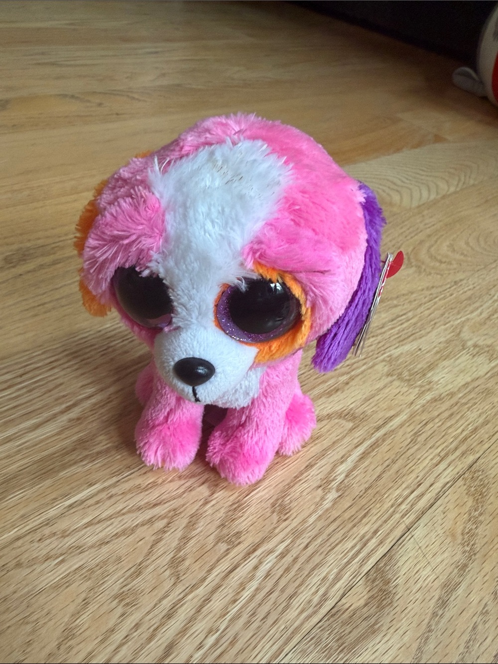 Ty Beanie Boos Precious Pink Puppy Dog Plush Purple Eyes NWT
